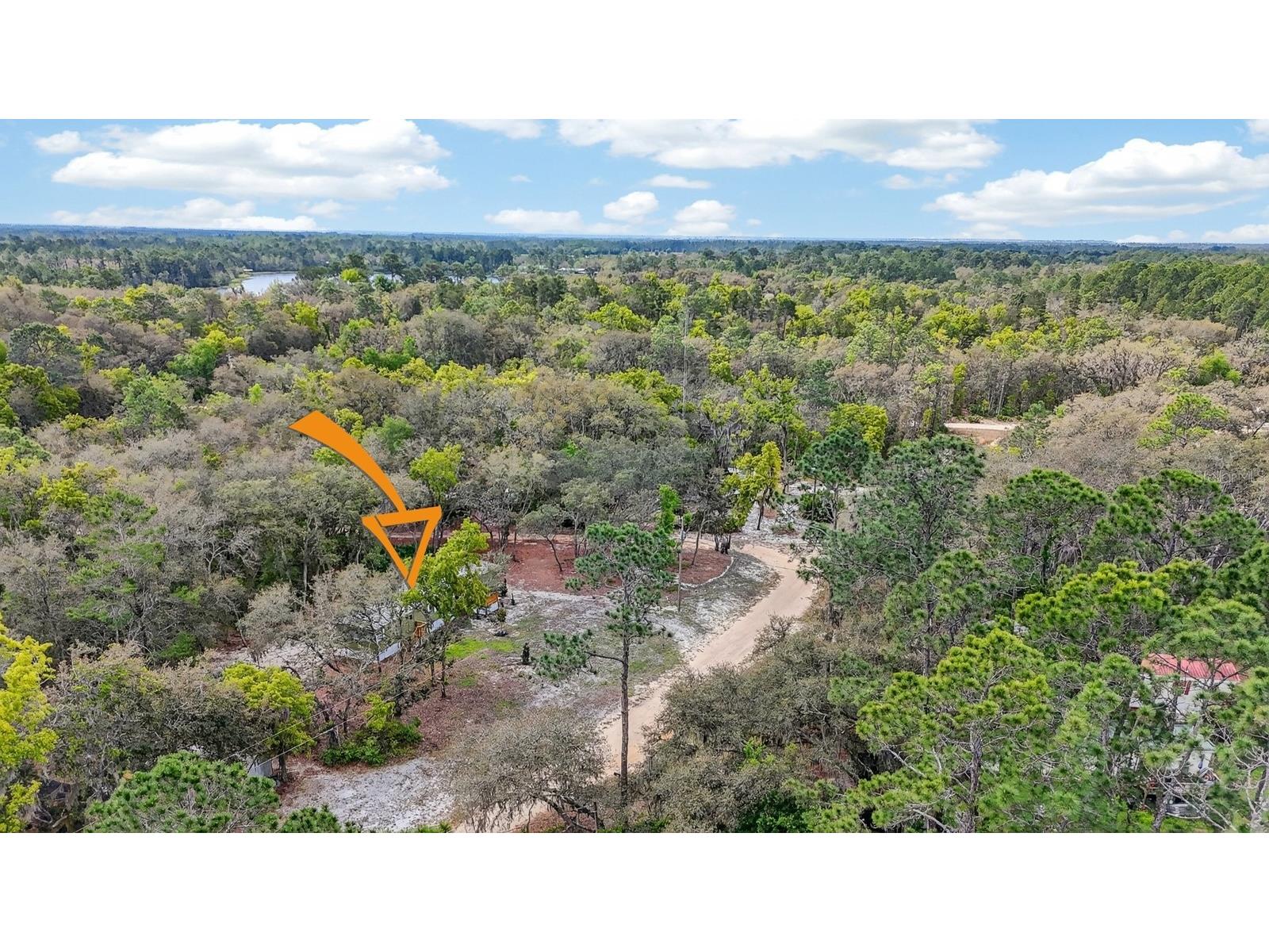 112 Palmer Drive Interlachen FL 32148 FC317721 image31