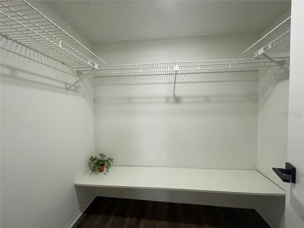 112 Palmetto Court #112 Oldsmar FL 34677 W7880863 image21