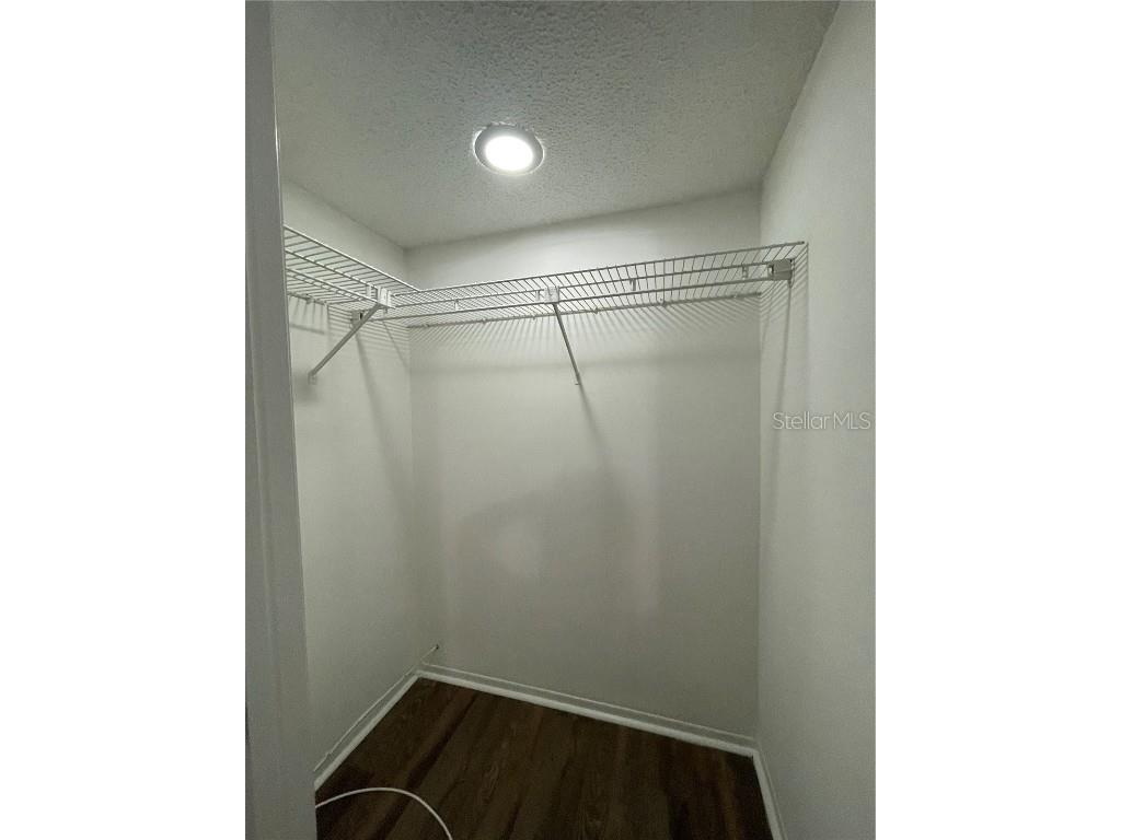 112 Palmetto Court #112 Oldsmar FL 34677 W7880863 image22