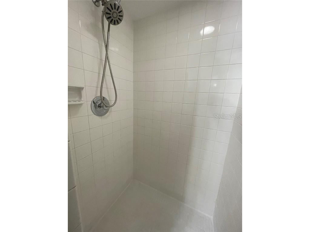 112 Palmetto Court #112 Oldsmar FL 34677 W7880863 image26