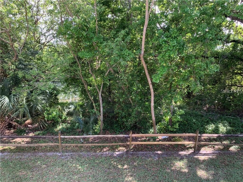 112 Palmetto Court #112 Oldsmar FL 34677 W7880863 image31