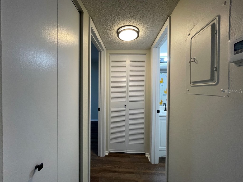 112 Palmetto Court #112 Oldsmar FL 34677 W7880863 image35