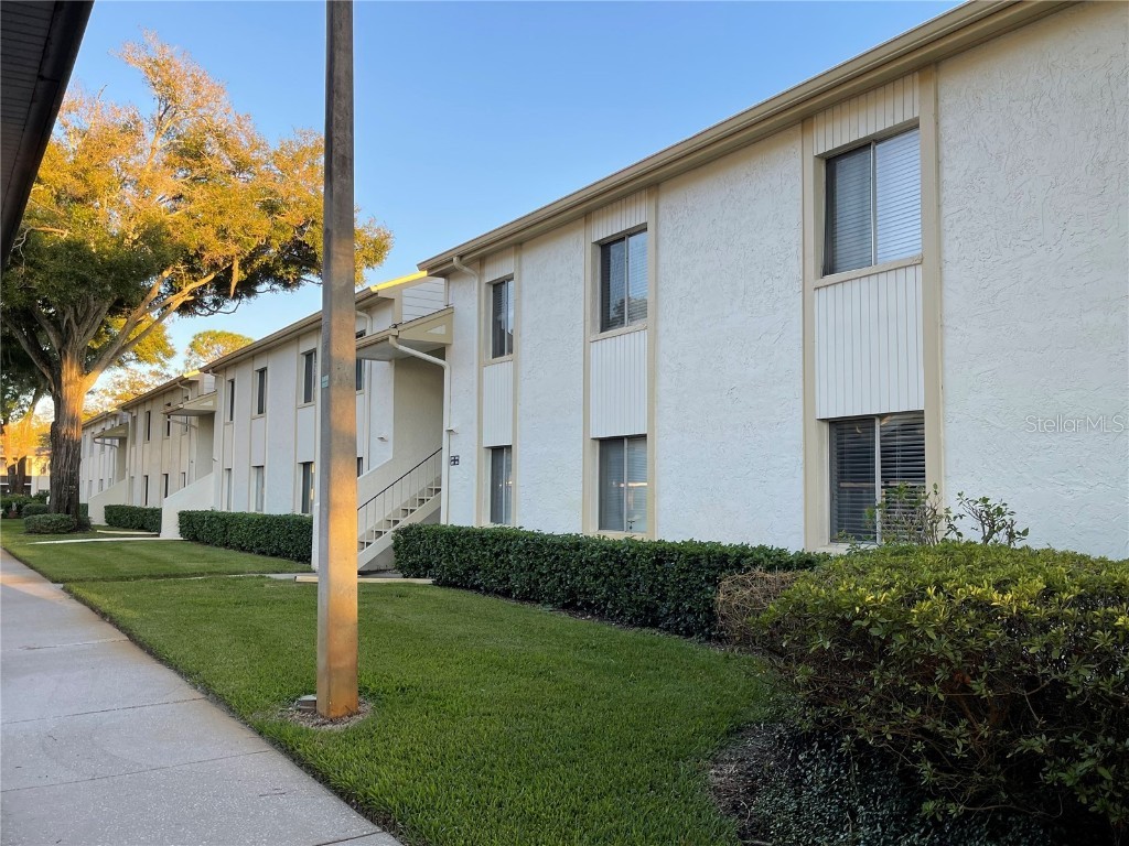112 Palmetto Court #112 Oldsmar FL 34677 W7880863 image41