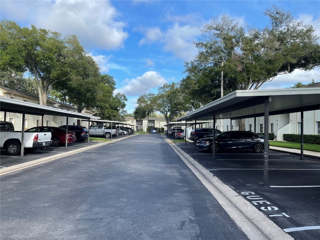 112 Palmetto Court #112 Oldsmar FL 34677 W7880863 image44