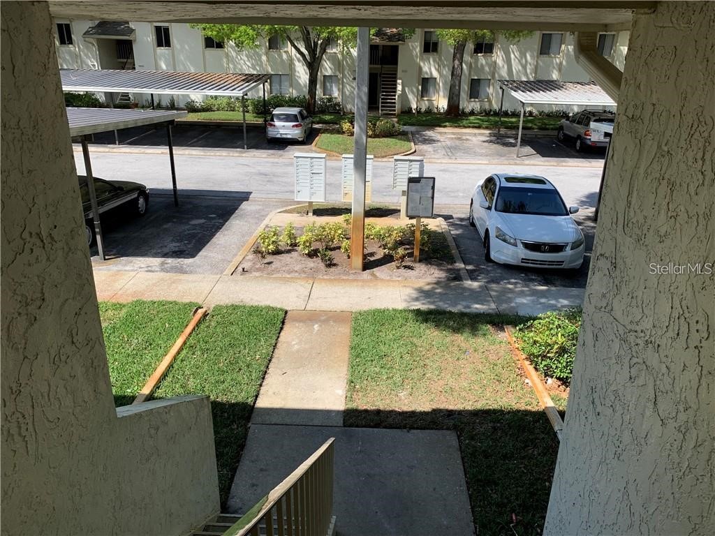 112 Palmetto Court #112 Oldsmar FL 34677 W7880863 image46