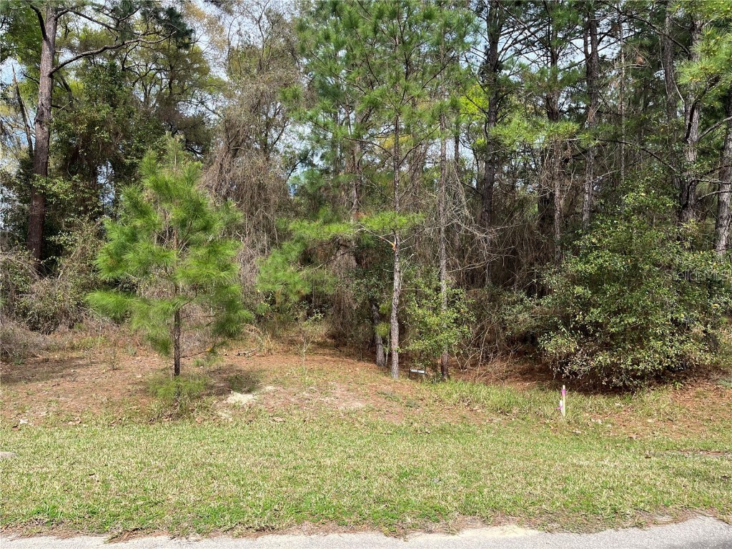 112 Paran Drive Melrose FL 32666 OK223830 image1