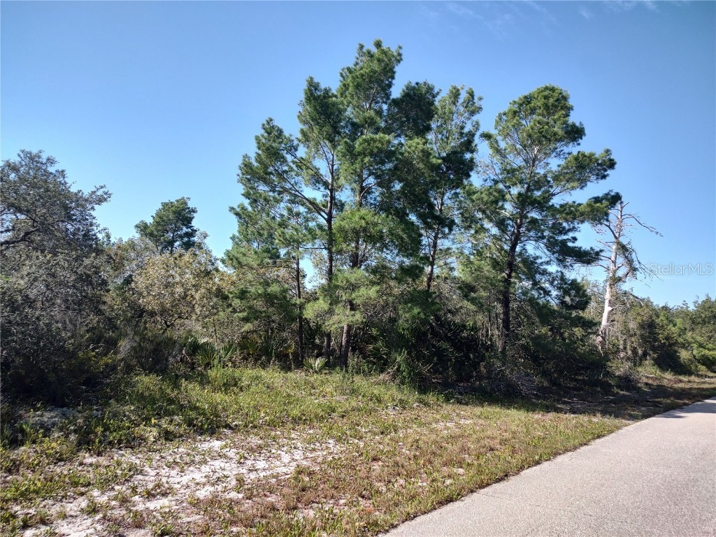 112 Pear Avenue NW Lake Placid FL 33852 - JUNE P4927012 image1