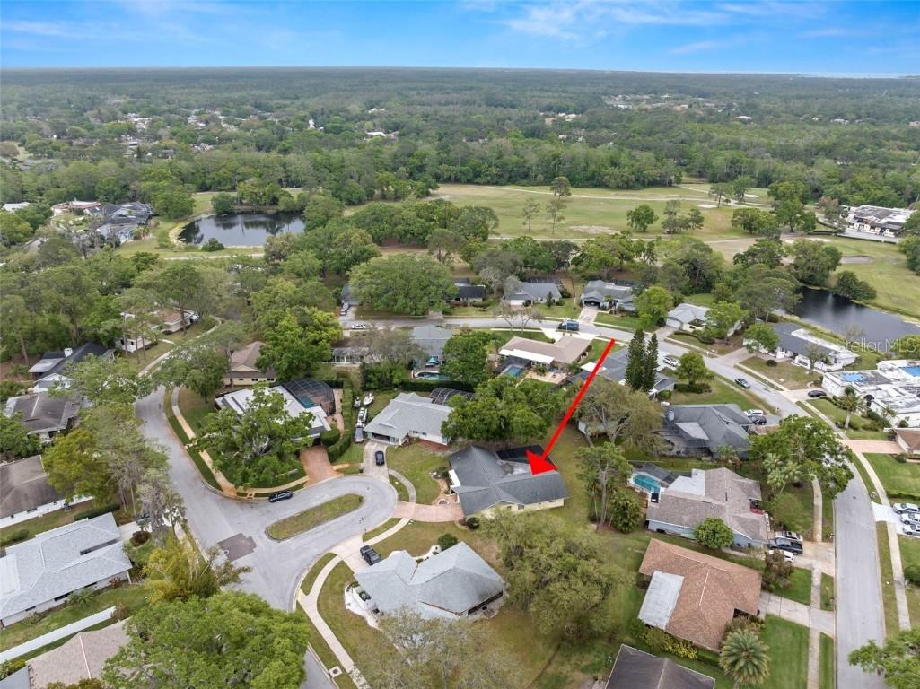 112 Rosewood Court Palm Harbor FL 34685 TB8367816 image6