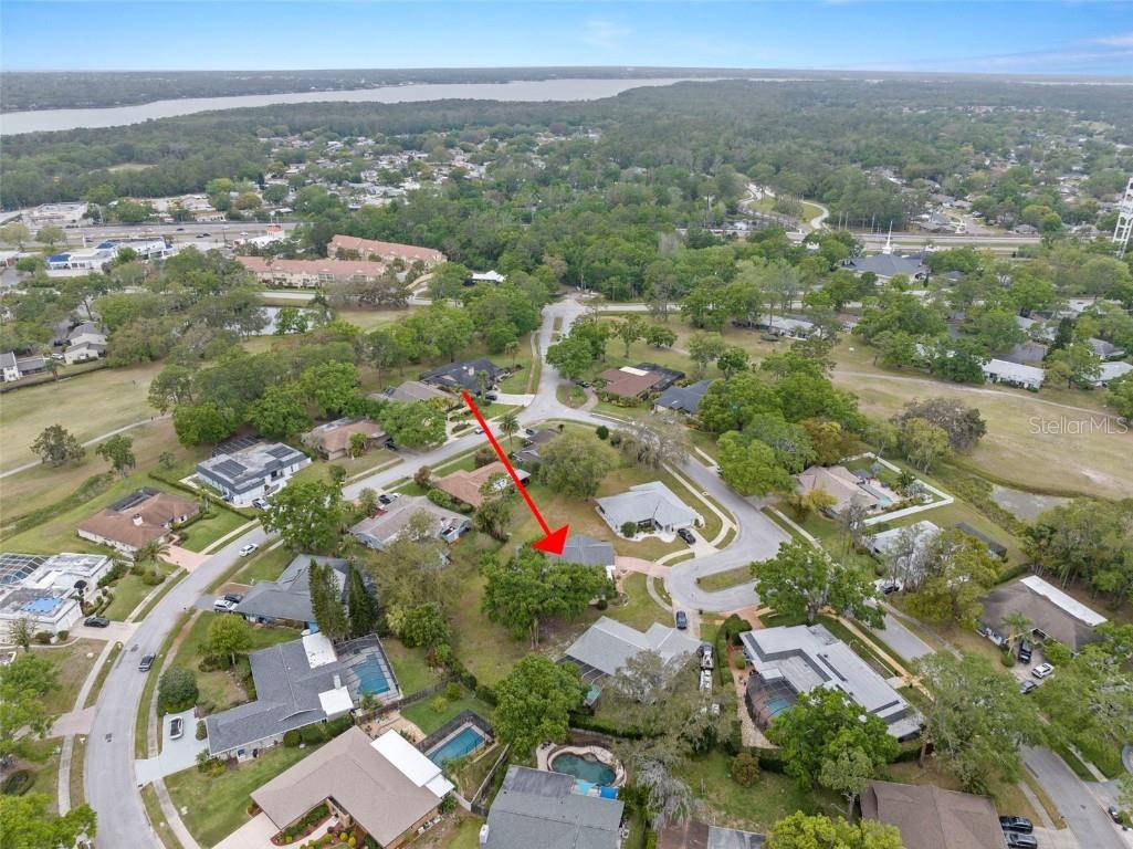 112 Rosewood Court Palm Harbor FL 34685 TB8367816 image7