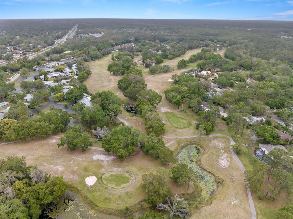 112 Rosewood Court Palm Harbor FL 34685 TB8367816 image8