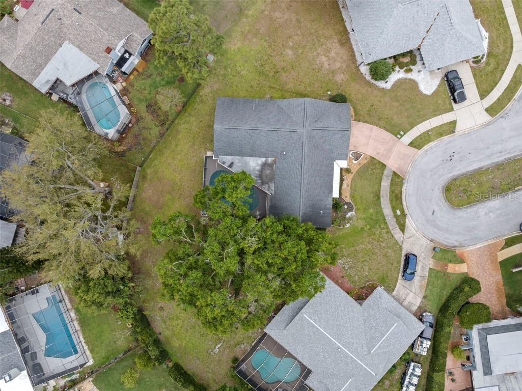 112 Rosewood Court Palm Harbor FL 34685 TB8367816 image9