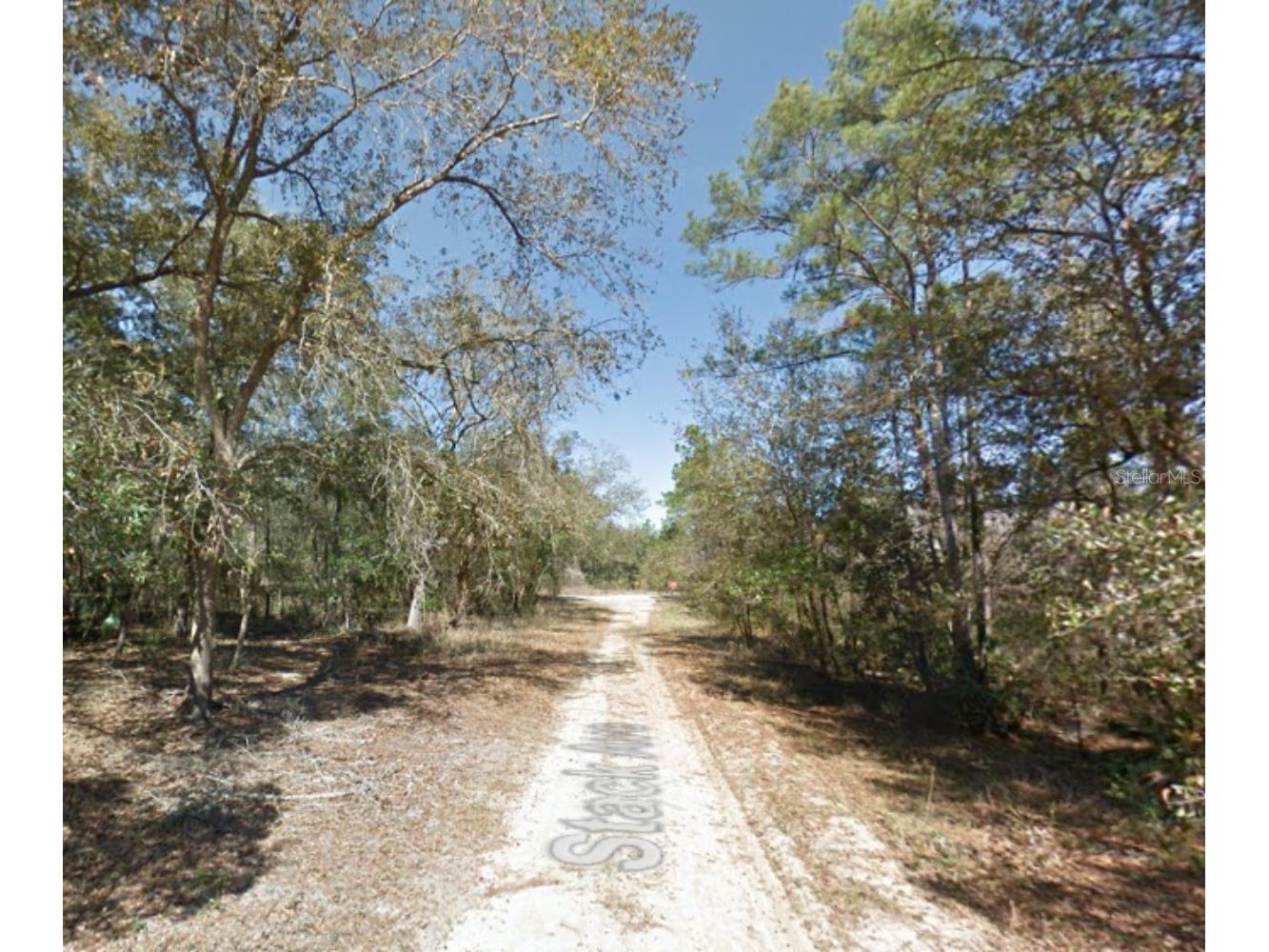 112 Stack Avenue Interlachen FL 32148 G5109397 image10