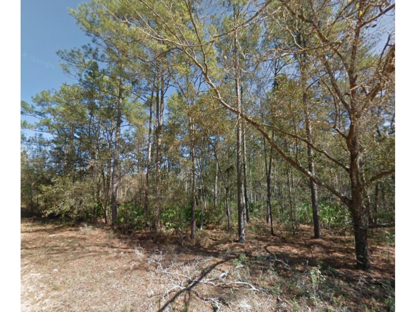 112 Stack Avenue Interlachen FL 32148 G5109397 image11