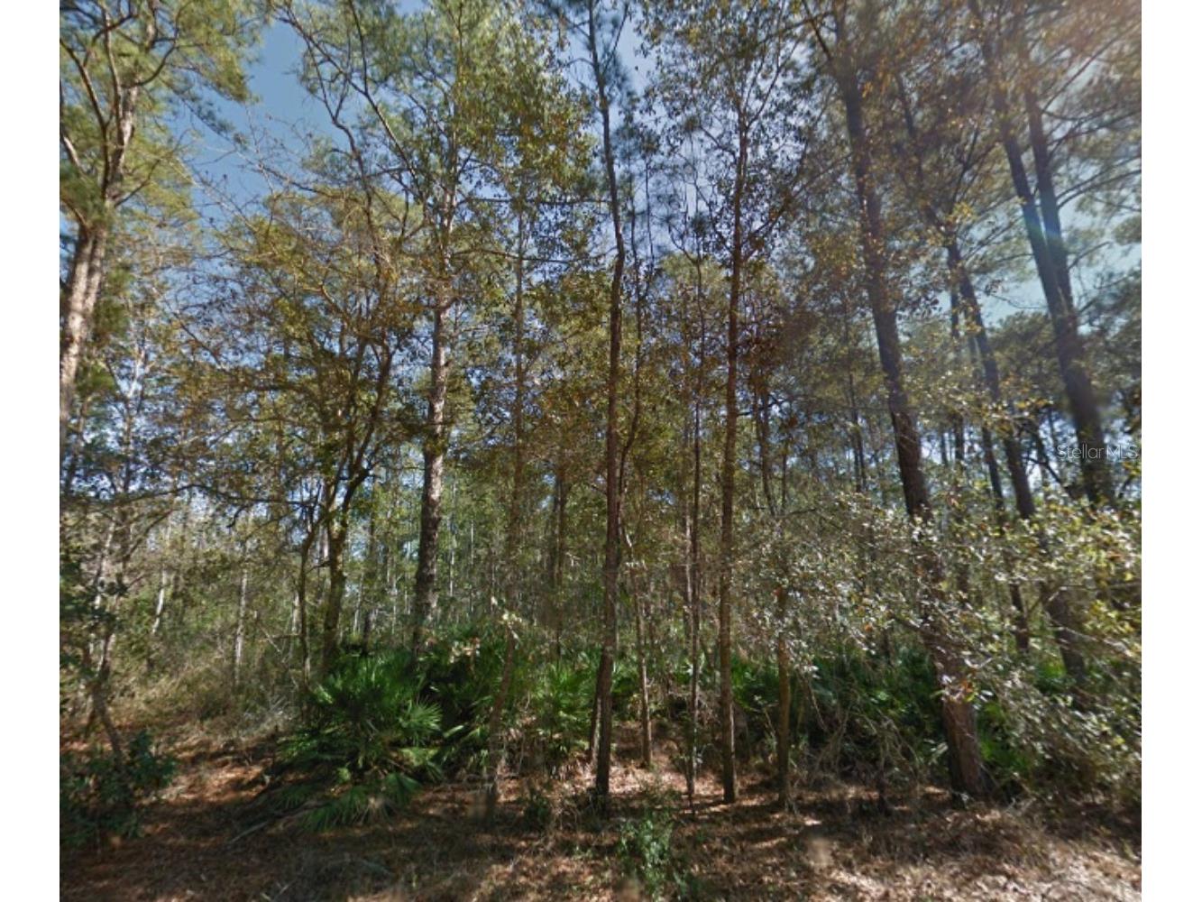 112 Stack Avenue Interlachen FL 32148 G5109397 image8