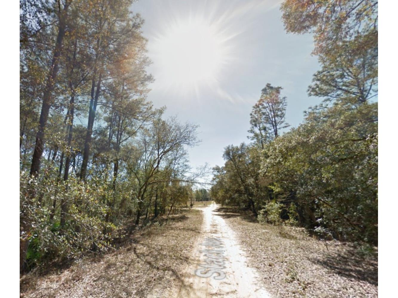 112 Stack Avenue Interlachen FL 32148 G5109397 image9