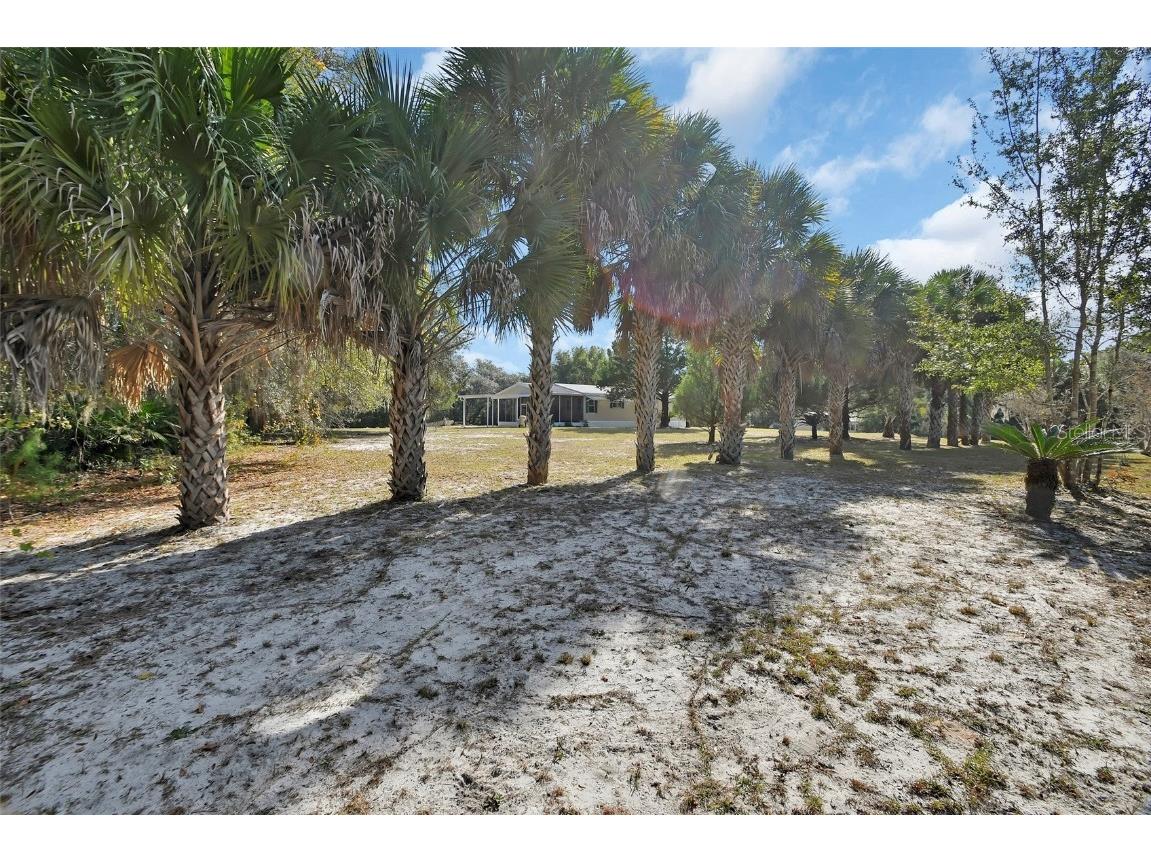 112 Stallion Road Crescent City FL 32112 V4946075 image46