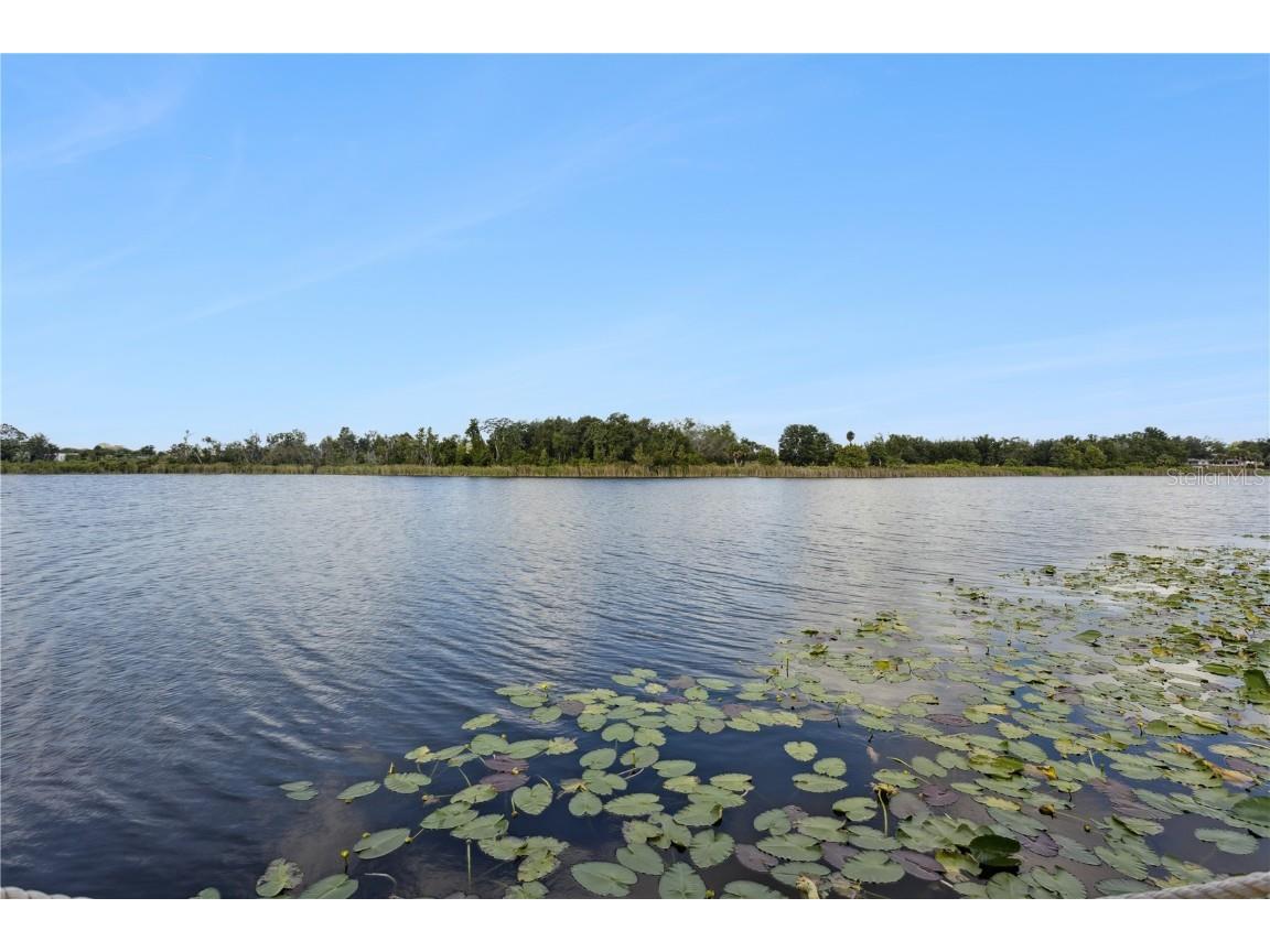 112 Turtle Run Umatilla FL 32784 - LAKE EOLA G5102878 image27