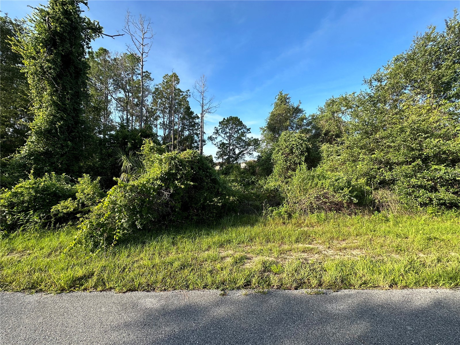 112 Warmouth Lane Poinciana FL 34759 O6396147 image1