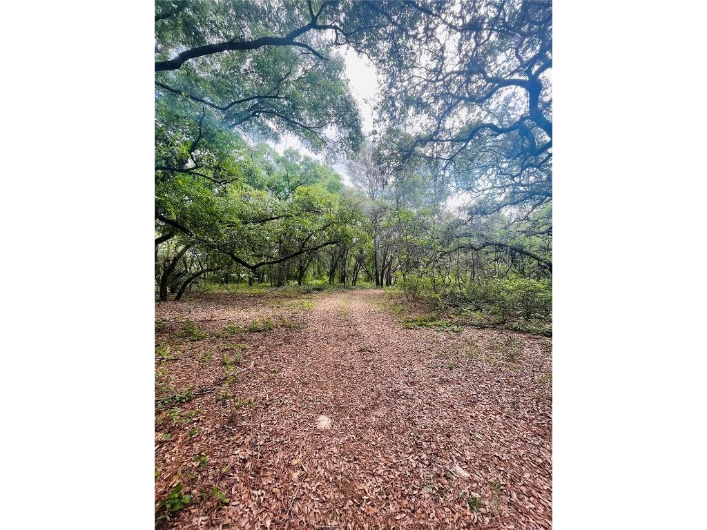 112 Willow Lane Hawthorne FL 32640 OM655751 image1