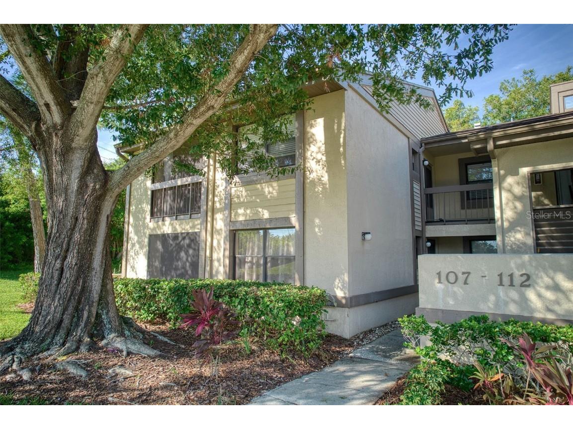 112 Woodlake Lane #112 Oldsmar FL 34677 T3481865 image1