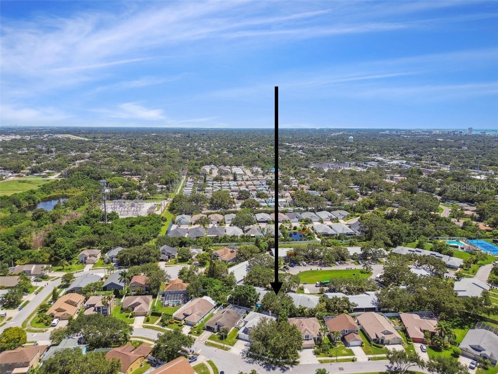 1120 Bluffs Circle Dunedin FL 34698 W7877252 image51