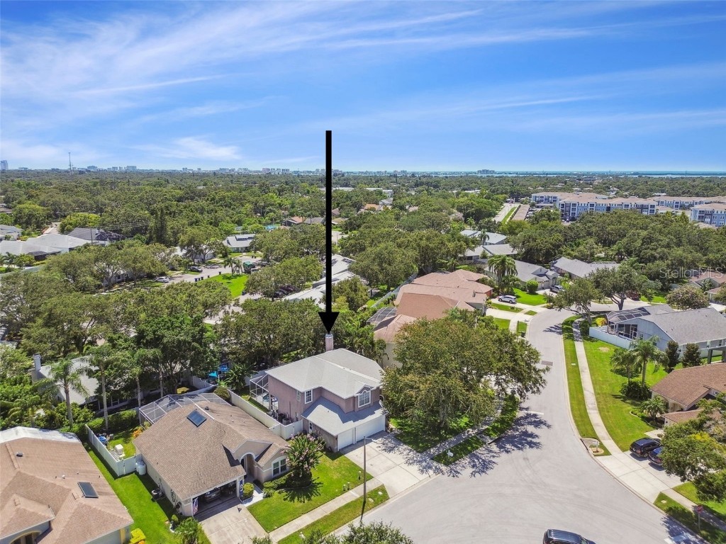 1120 Bluffs Circle Dunedin FL 34698 W7877252 image53