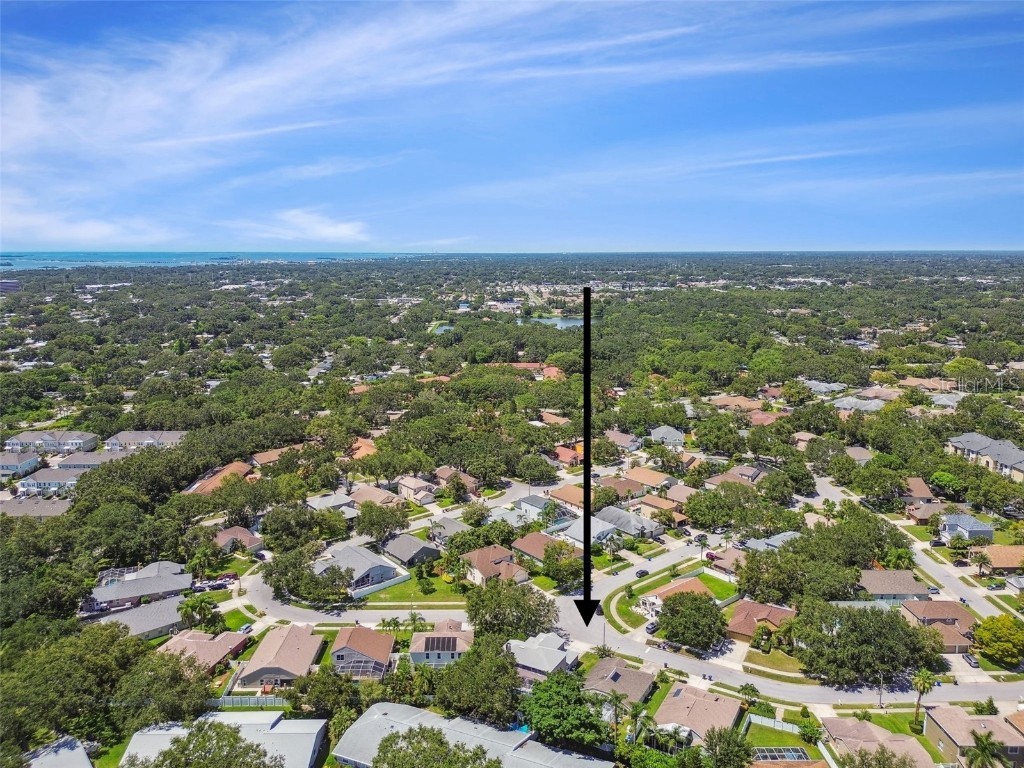 1120 Bluffs Circle Dunedin FL 34698 W7877252 image54