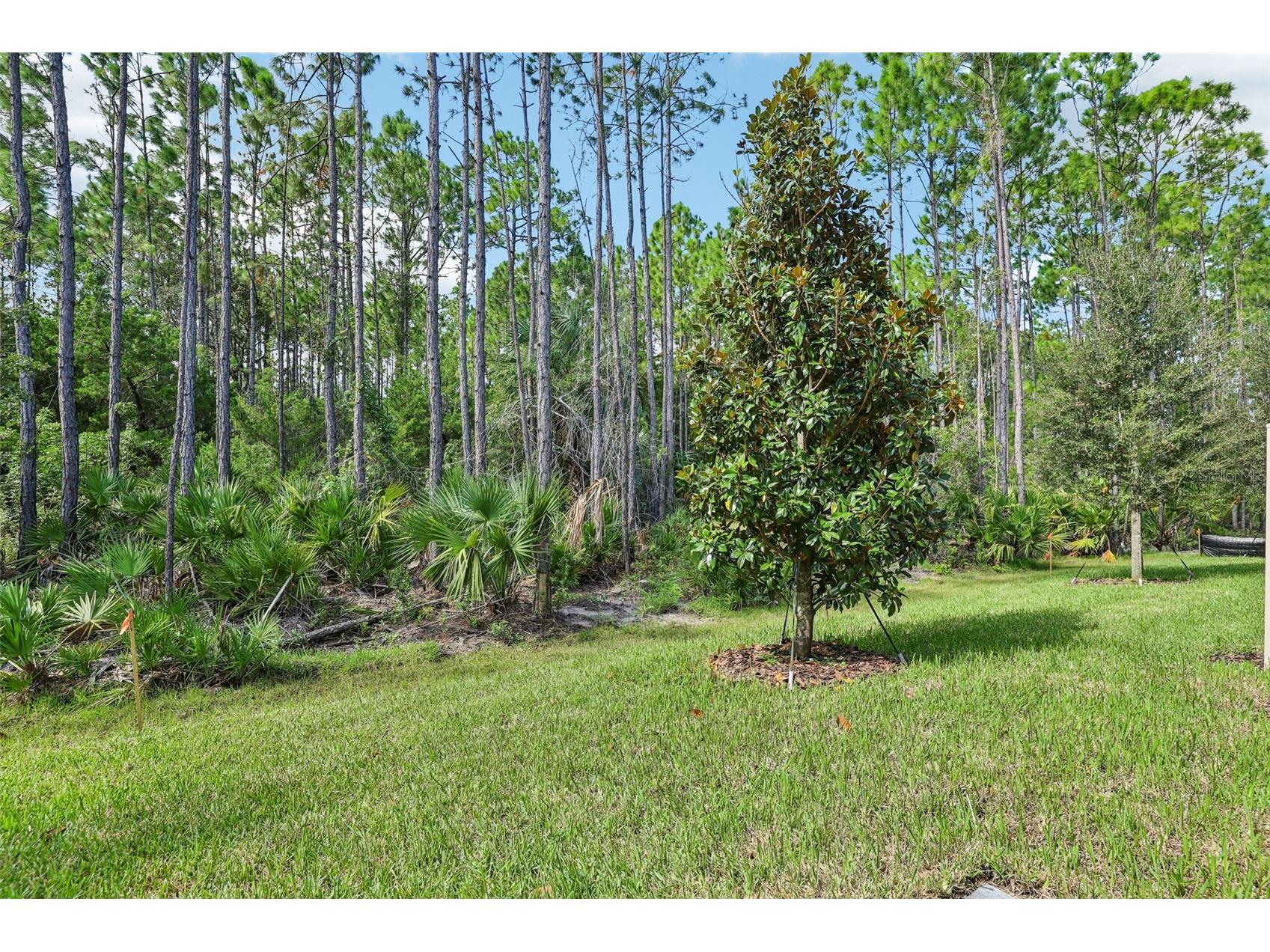 1120 Bradford Park Drive Ormond Beach FL 32174 O6343356 image31