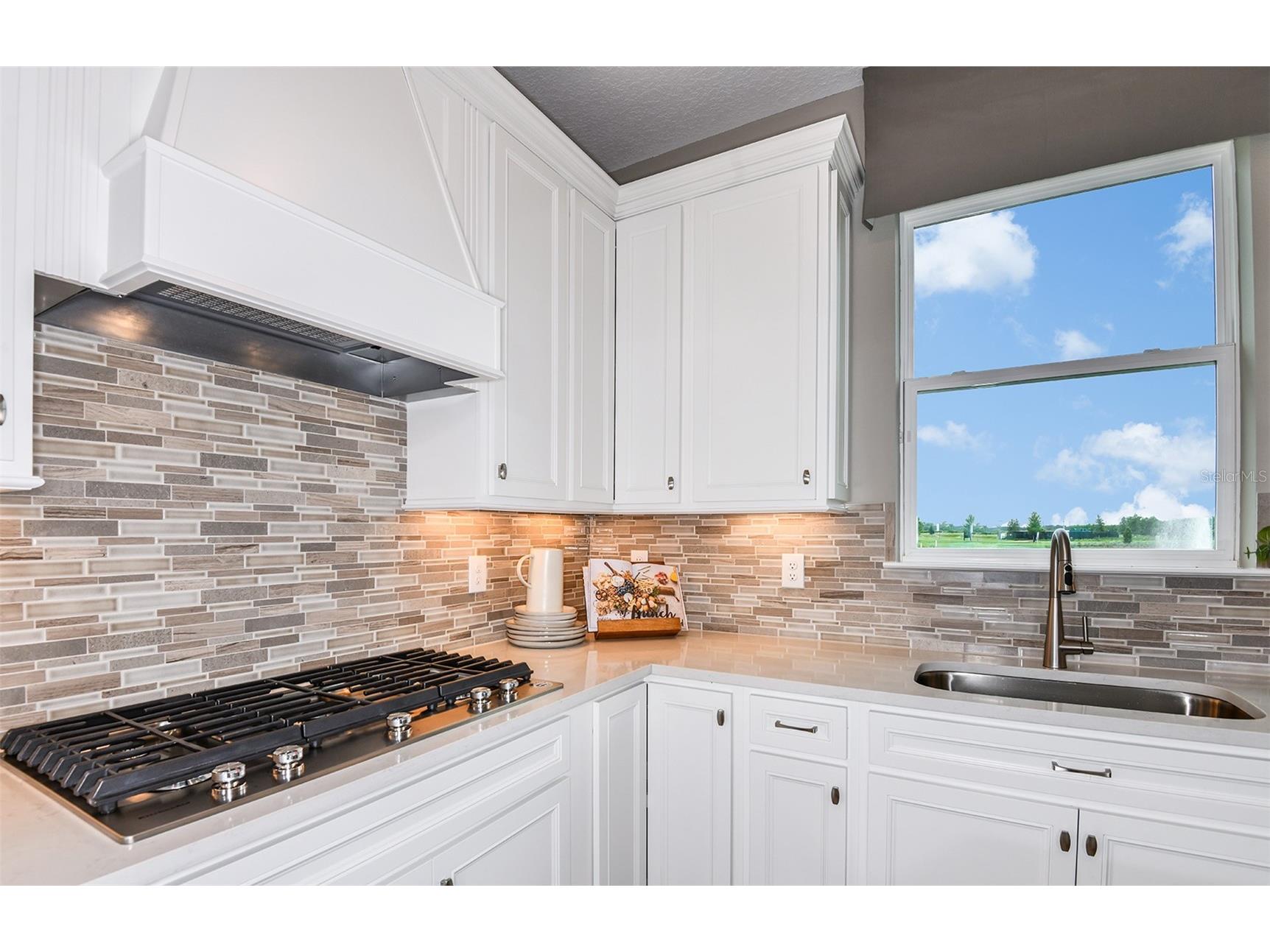 1120 Canopy View Way Minneola FL 34715 O6387503 image12