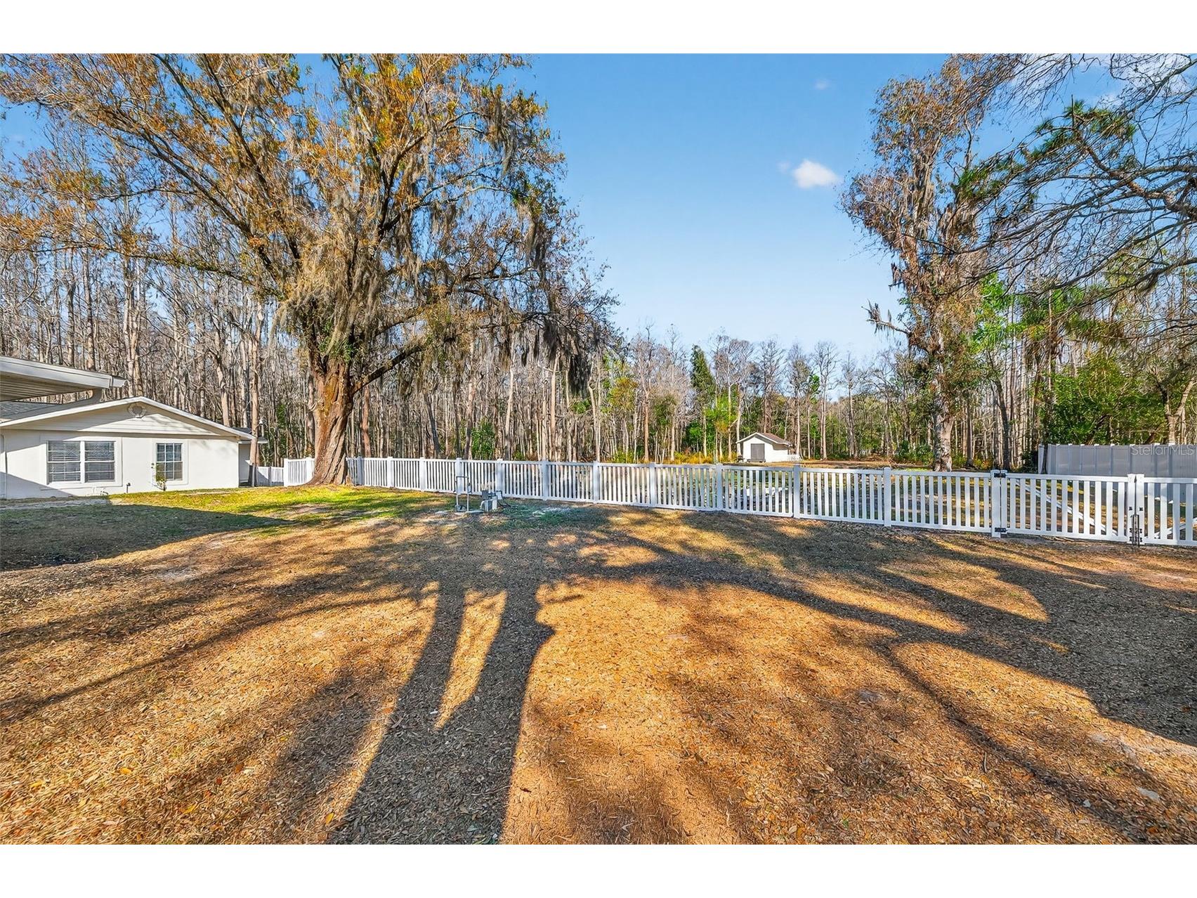 1120 Country Lane Lutz FL 33558 TB8481183 image49
