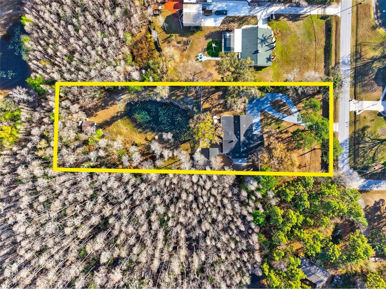 1120 Country Lane Lutz FL 33558 TB8481183 image50