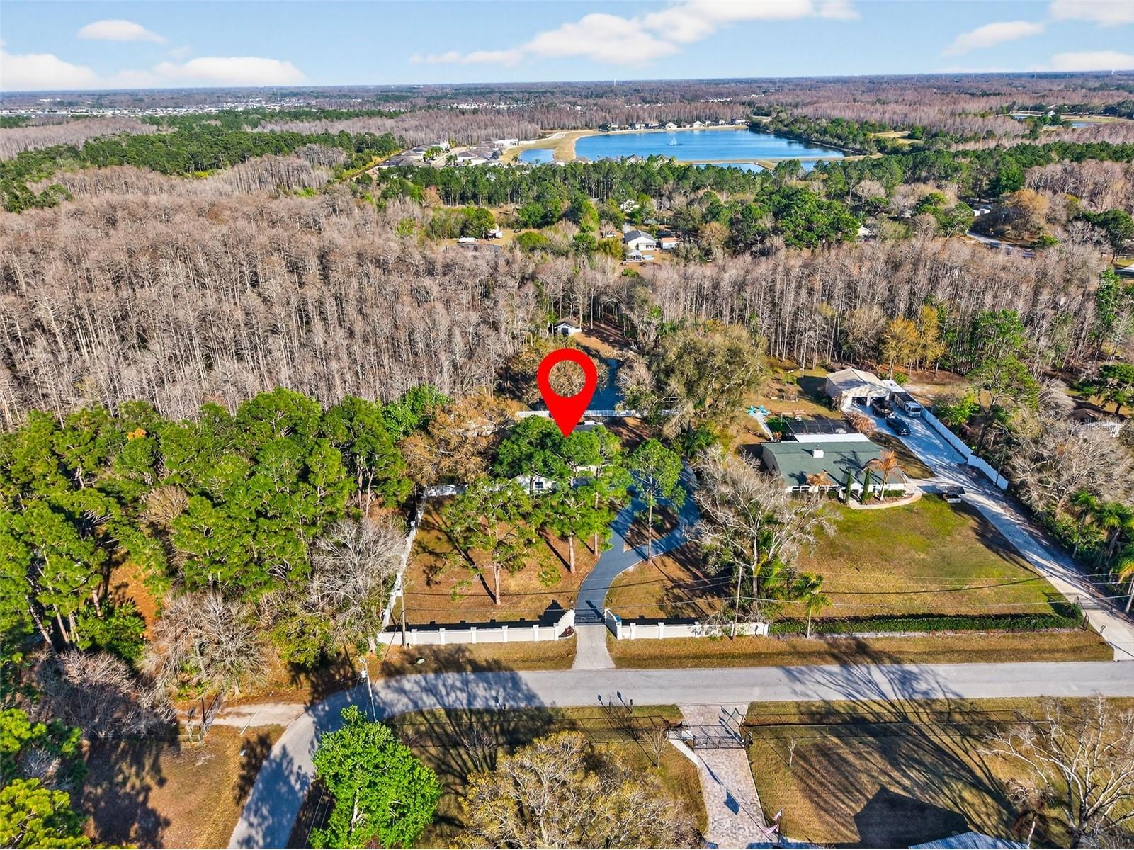 1120 Country Lane Lutz FL 33558 TB8481183 image51