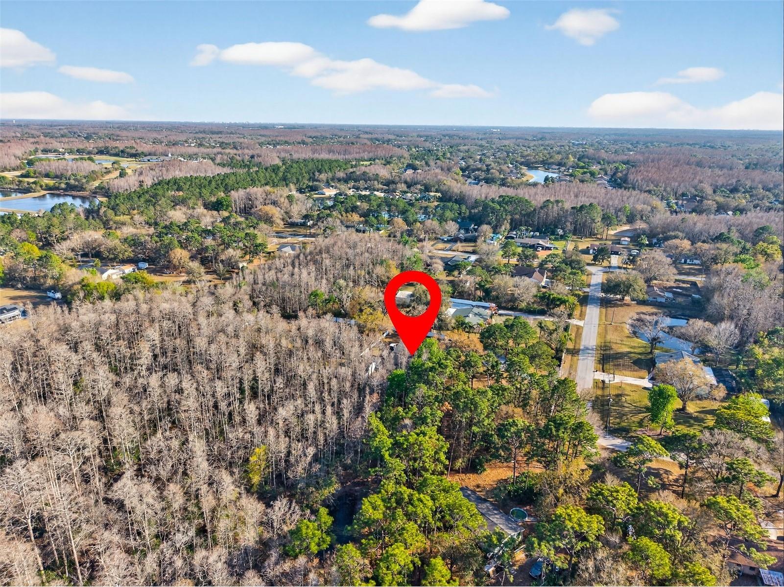 1120 Country Lane Lutz FL 33558 TB8481183 image52