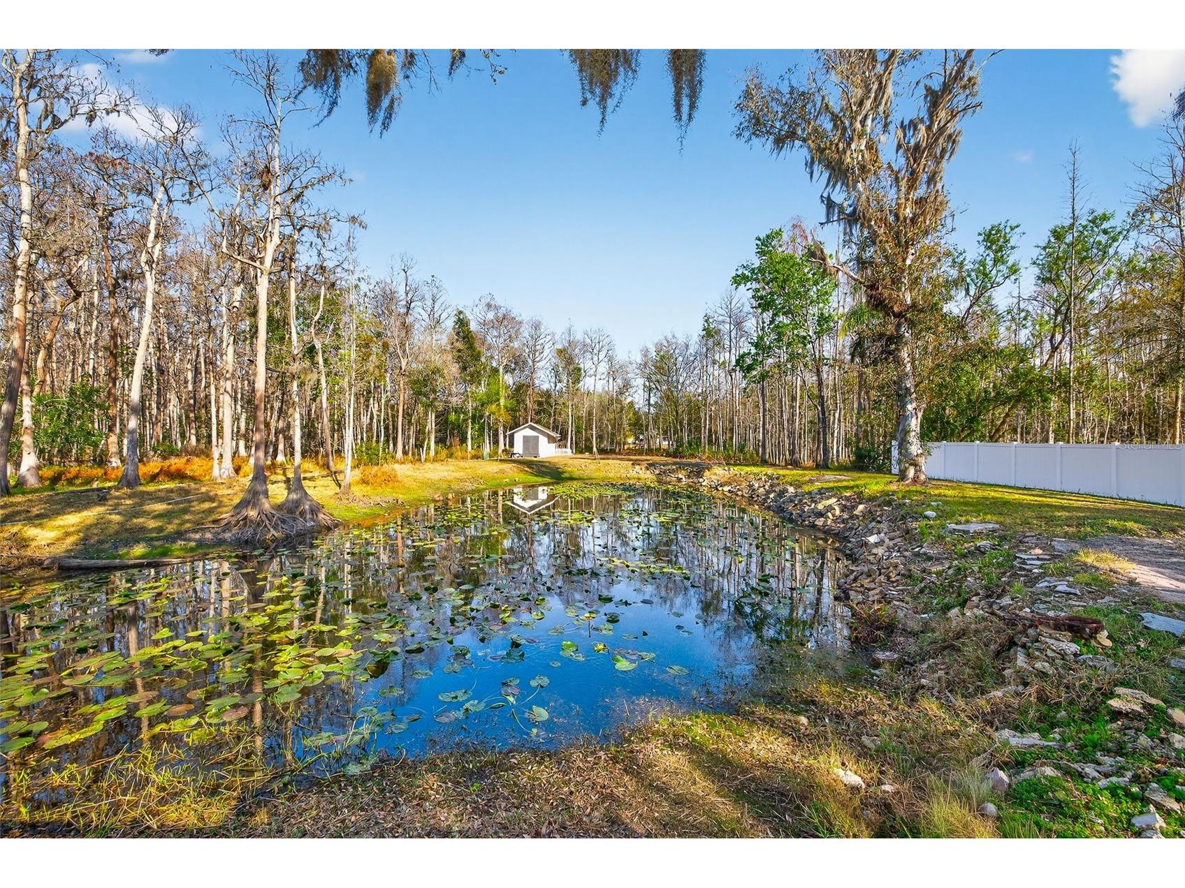 1120 Country Lane Lutz FL 33558 TB8481183 image8