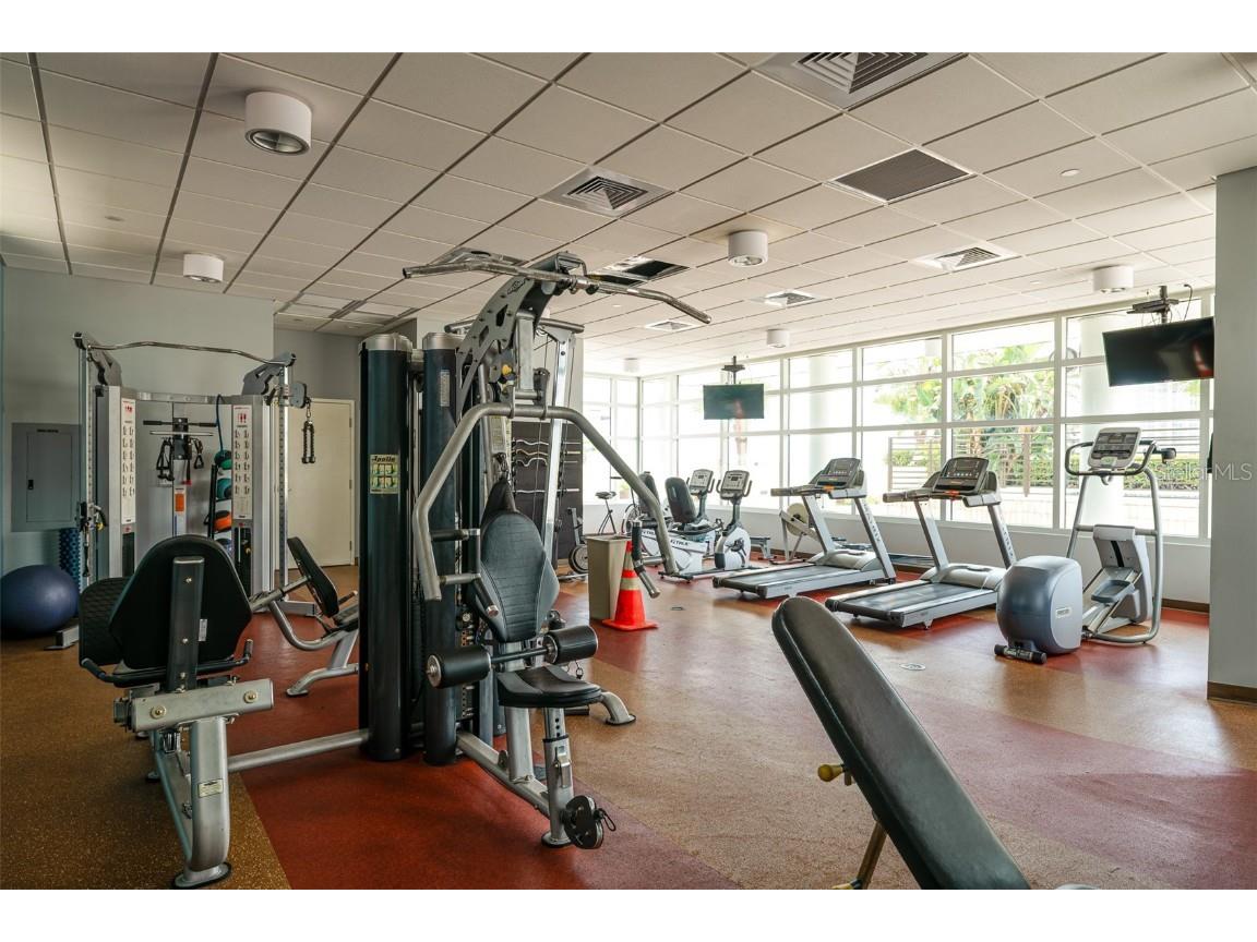 1120 E Kennedy Boulevard #318 Tampa FL 33602 TB8416491 image22