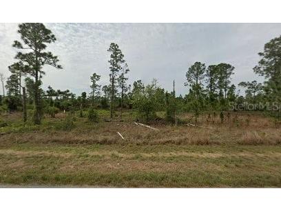 1120 Edelweiss St E Lehigh Acres FL 33974 C7482021 image1