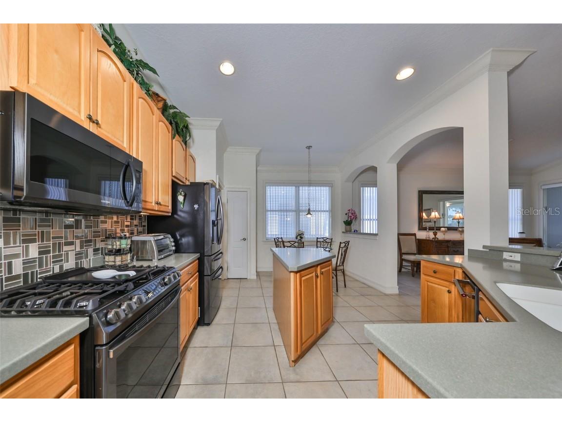 1120 Emerald Dunes Drive Sun City Center FL 33573 TB8321210 image9