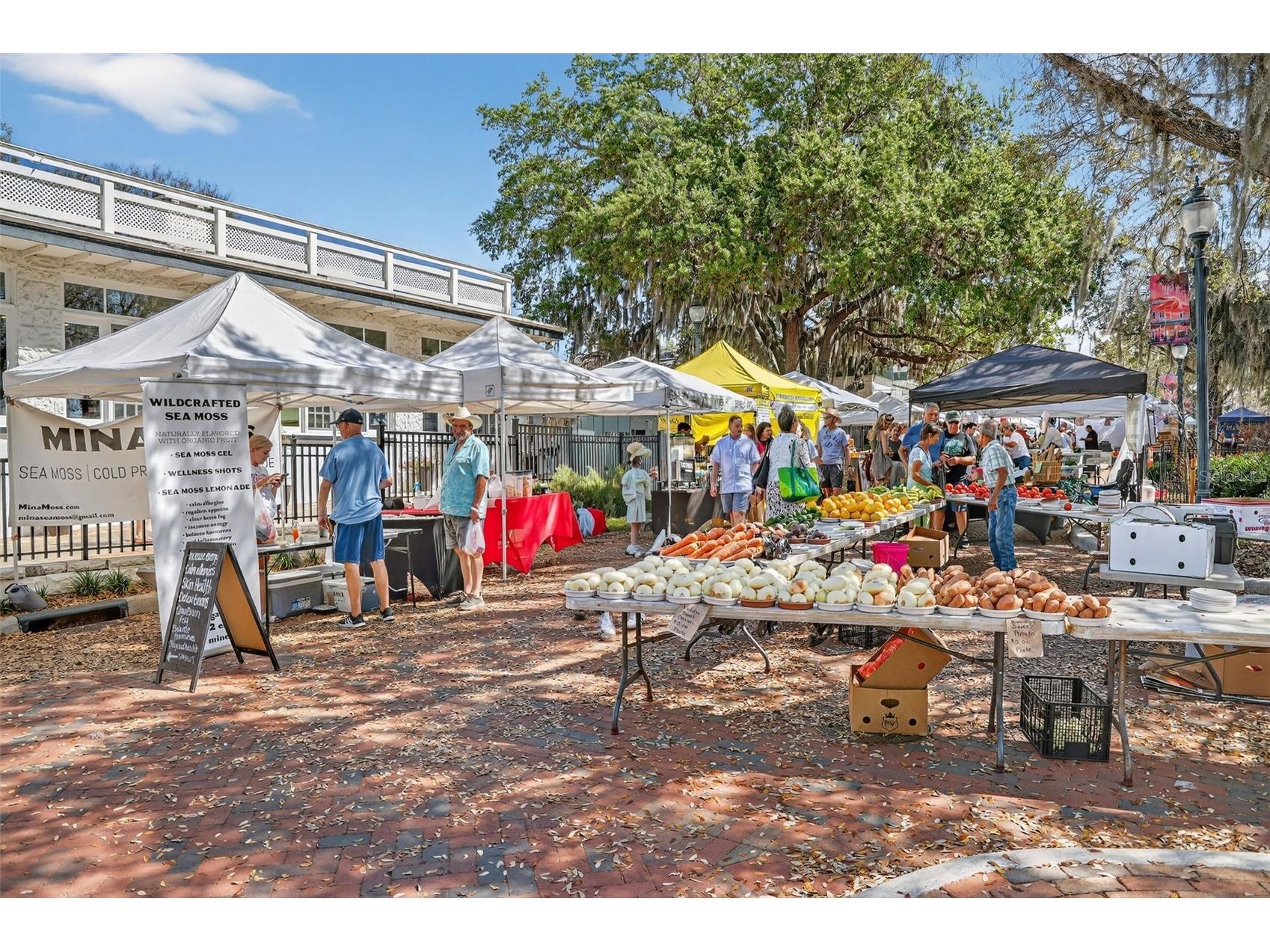 1120 Gardner Lane Mount Dora FL 32757 G5109370 image40