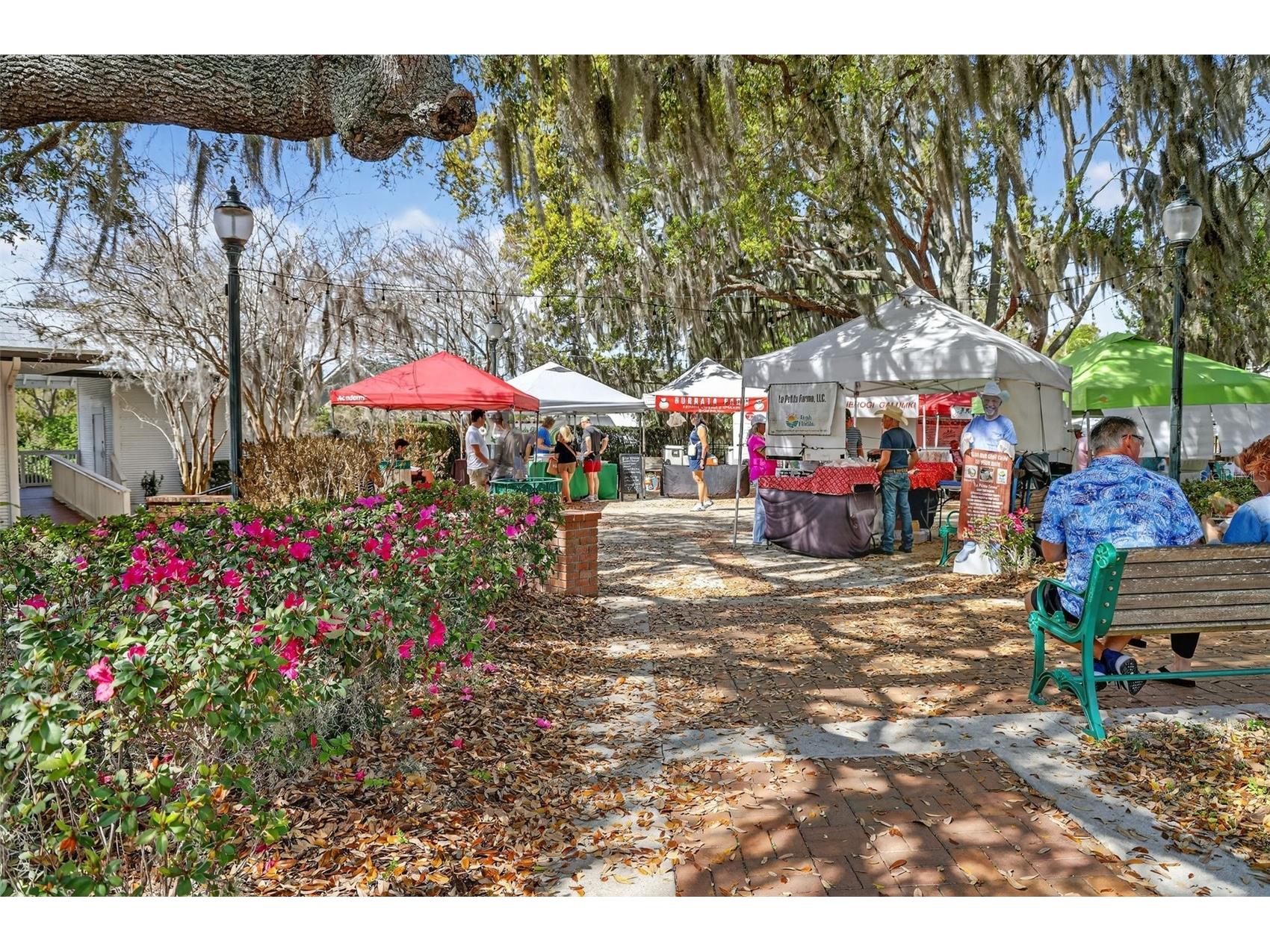 1120 Gardner Lane Mount Dora FL 32757 G5109370 image41