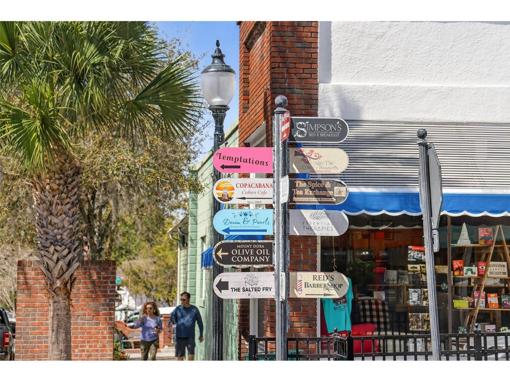 1120 Gardner Lane Mount Dora FL 32757 G5109370 image42