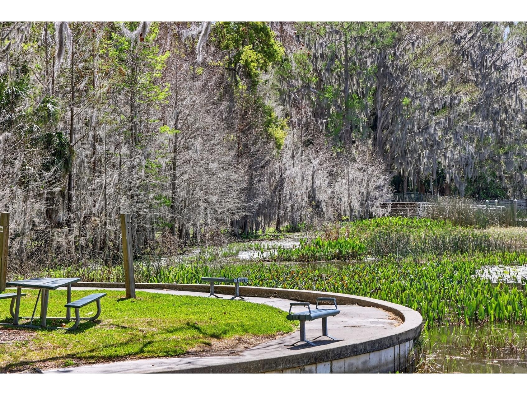 1120 Gardner Lane Mount Dora FL 32757 G5109370 image50