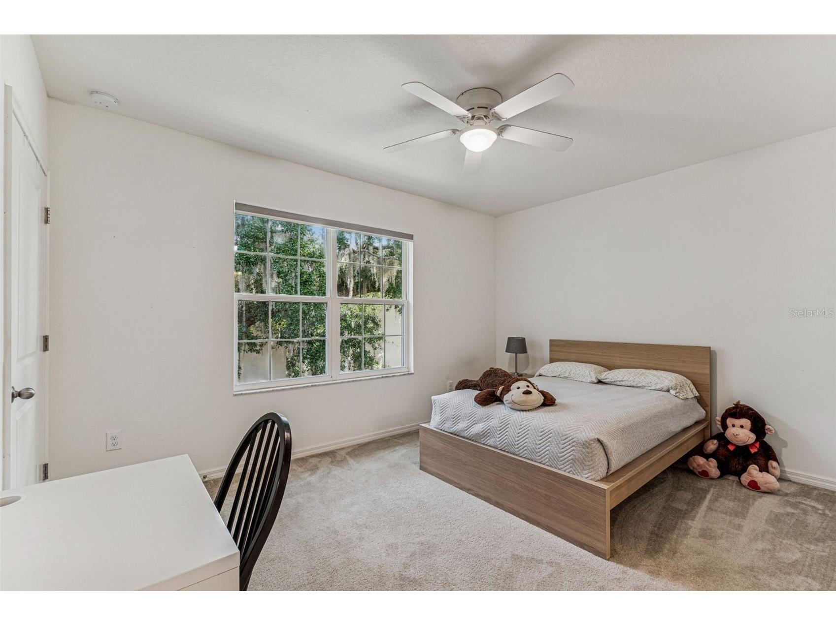 1120 Hillhurst Drive Wesley Chapel FL 33543 TB8464469 image50