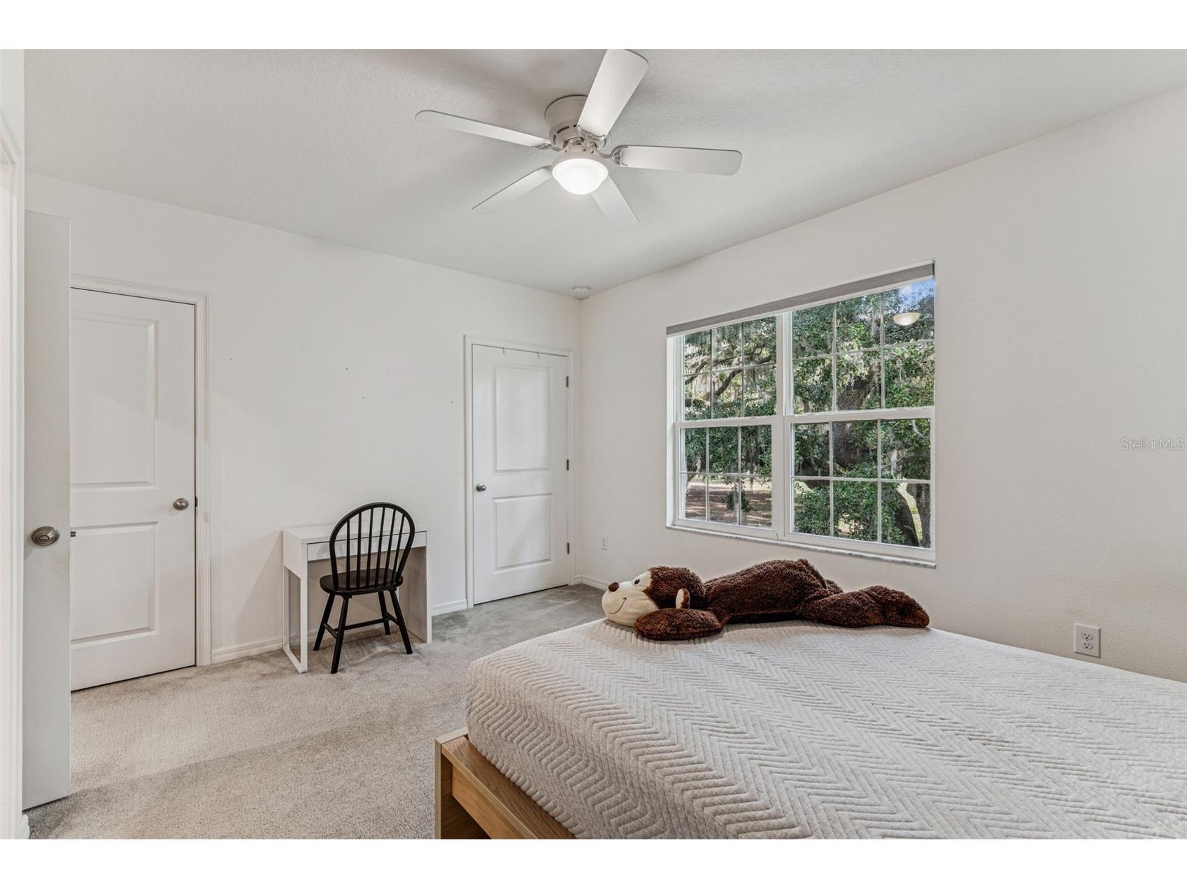 1120 Hillhurst Drive Wesley Chapel FL 33543 TB8464469 image53