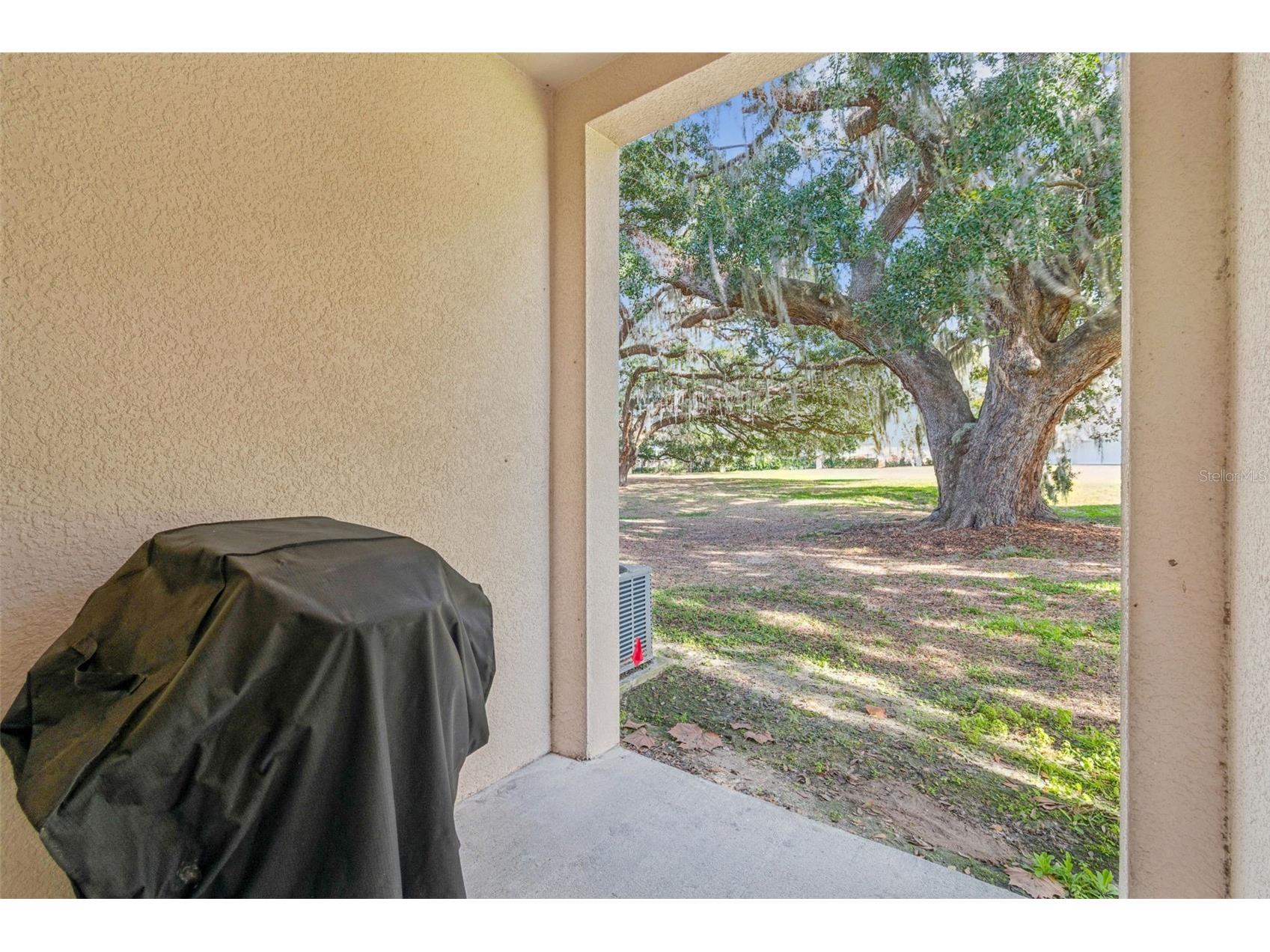 1120 Hillhurst Drive Wesley Chapel FL 33543 TB8464469 image58