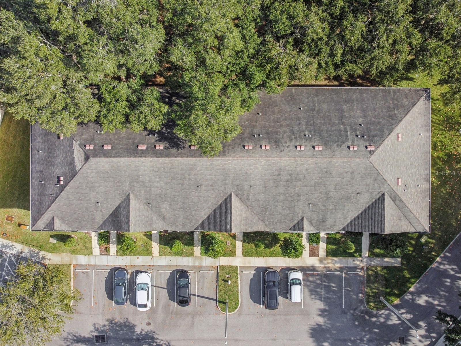 1120 Hillhurst Drive Wesley Chapel FL 33543 TB8464469 image79