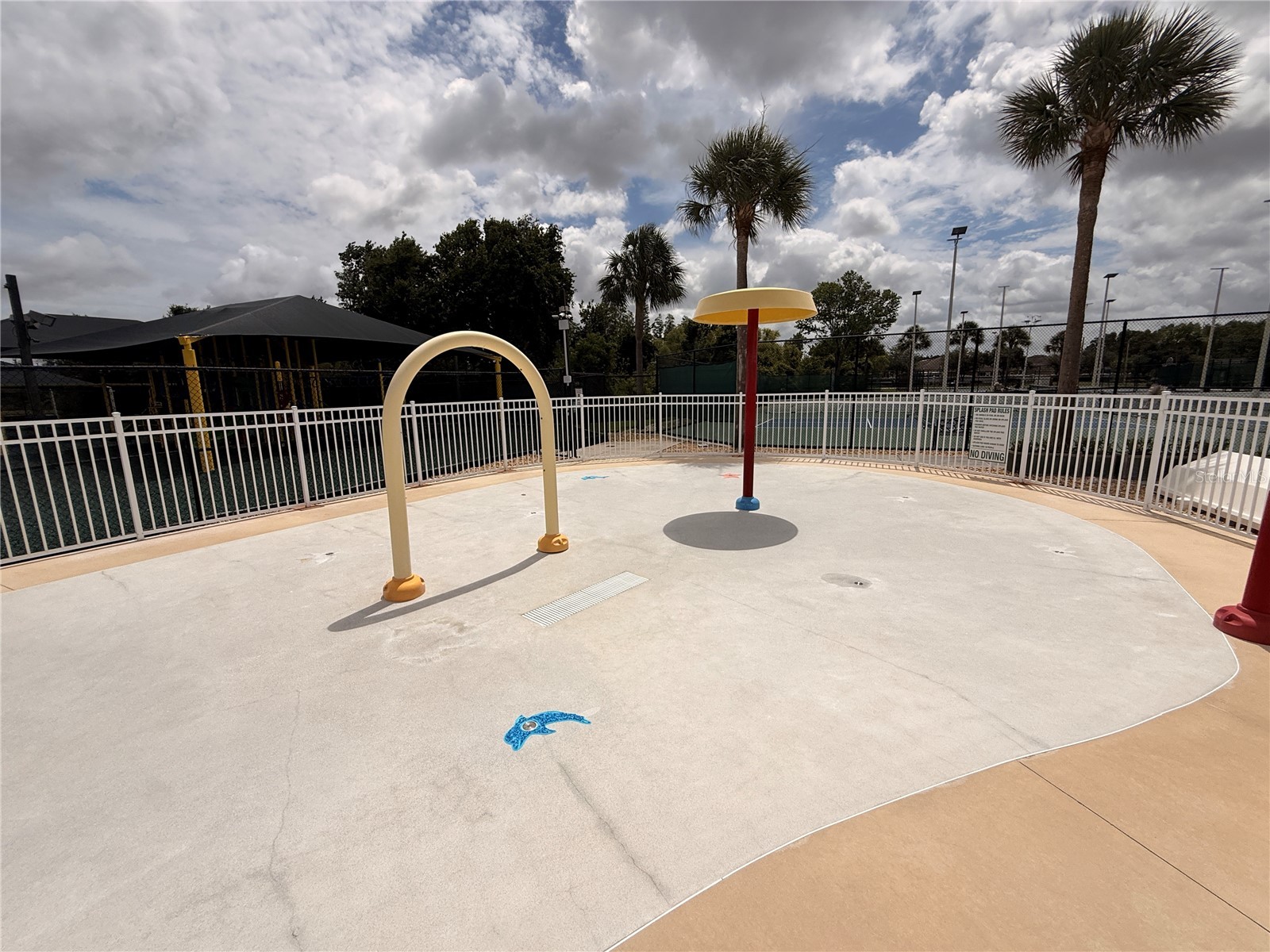 1120 Kennewick Ct Wesley Chapel FL 33543 TB8515004 image65