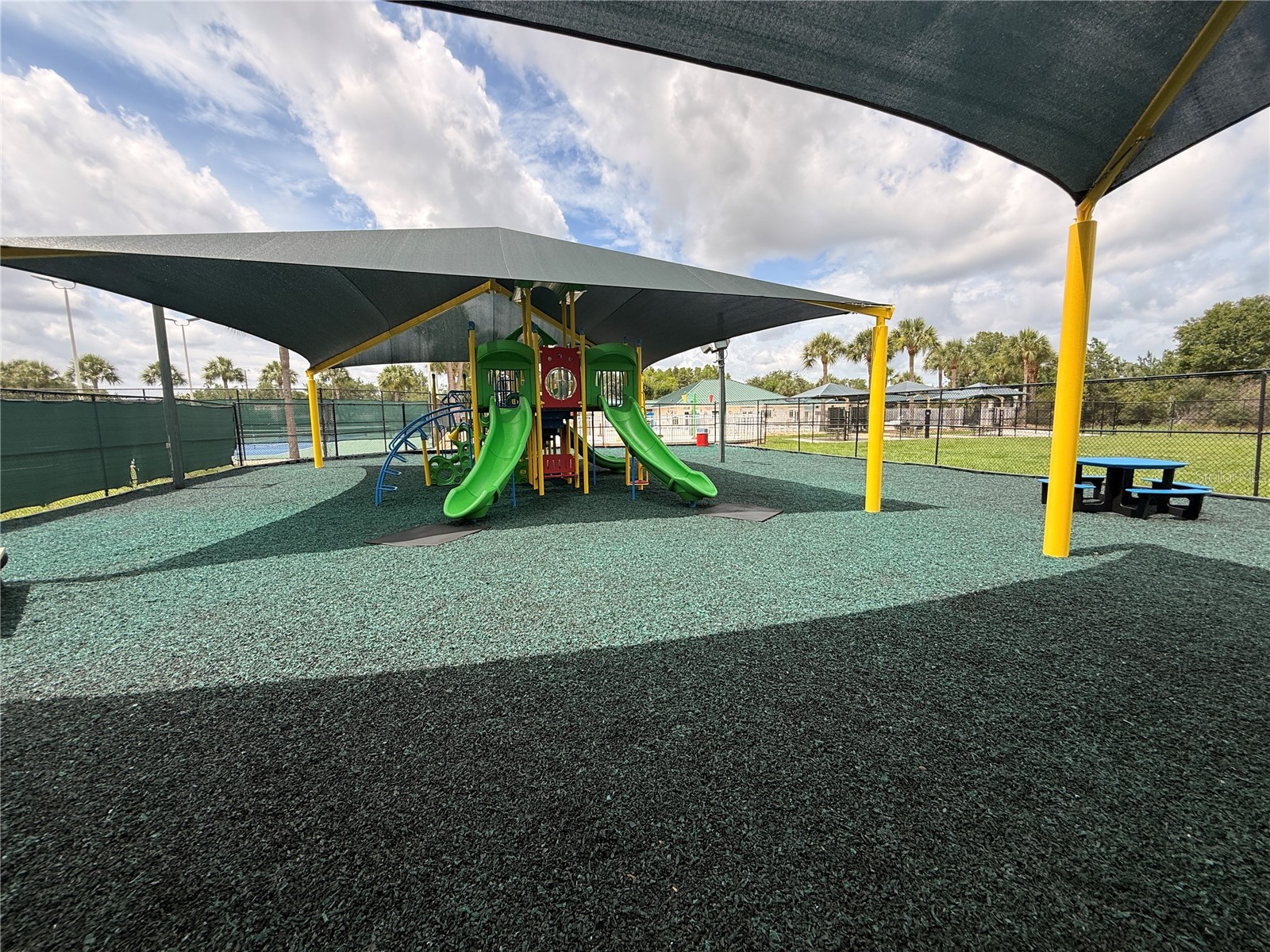 1120 Kennewick Ct Wesley Chapel FL 33543 TB8515004 image79
