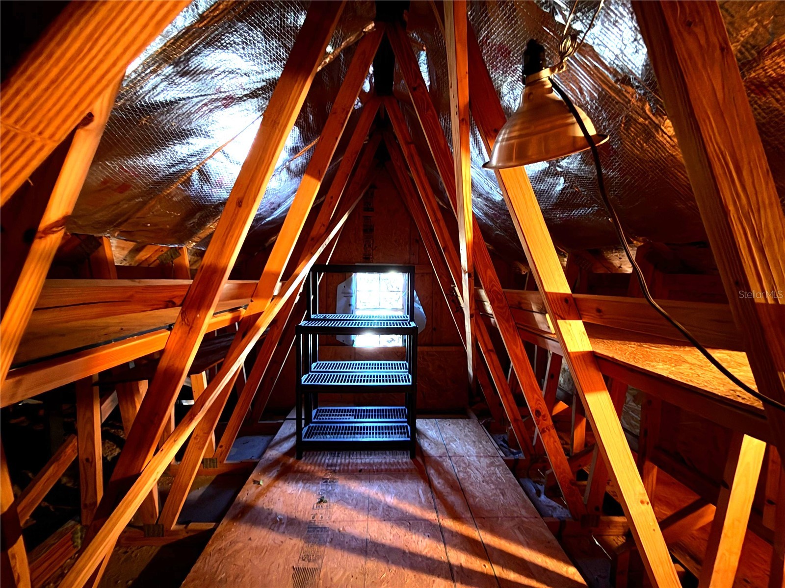 1120 Maplebrook Drive Lake Alfred FL 33850 - LAKE SWOOPE P4937281 image56