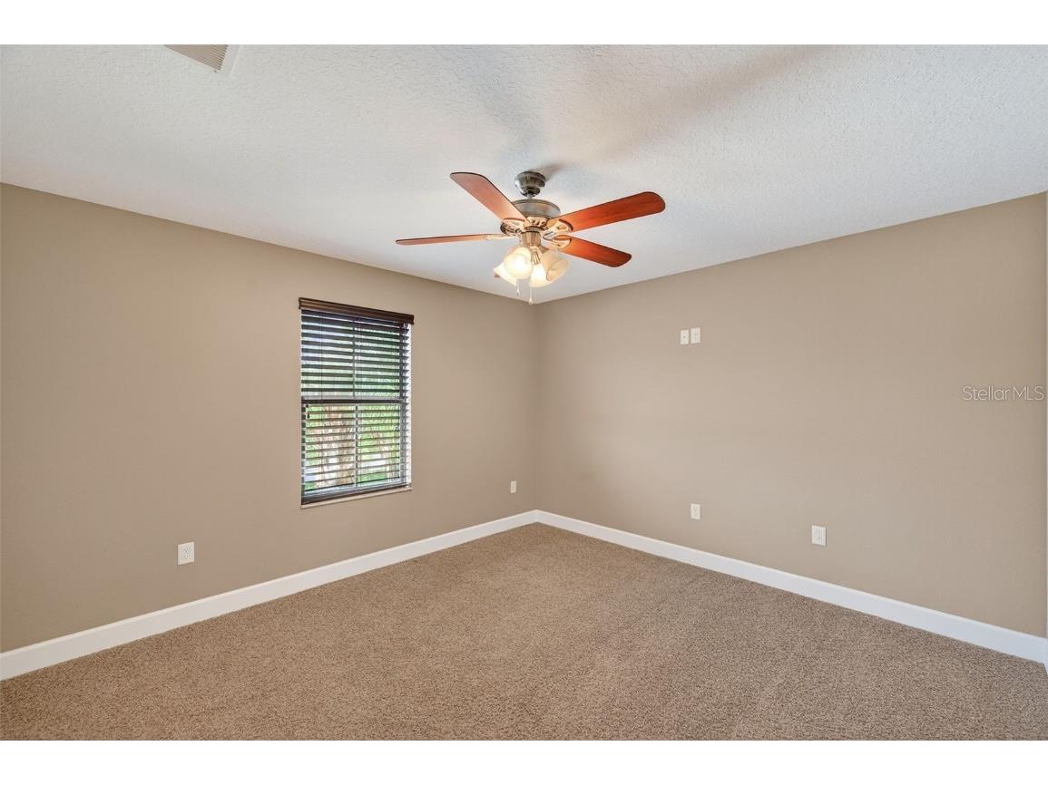 1120 Maza Place Trinity FL 34655 TB8416039 image26