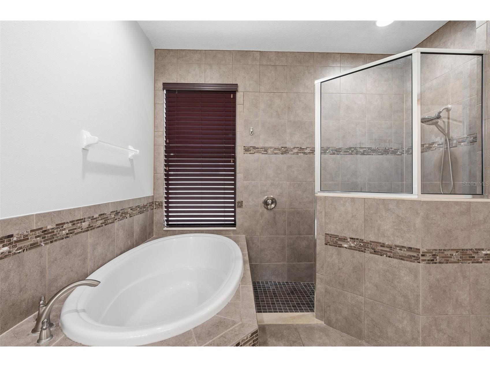 1120 Maza Place Trinity FL 34655 TB8524557 image33